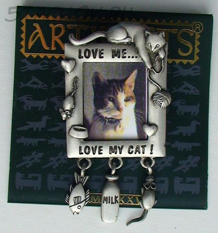 Брошь "Запасливый котик рамочка"