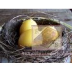 Свеча-яйцо восковая "Сангома"