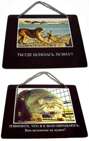Плакат "Ты где шлялась"