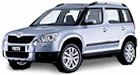 Yeti 2009-