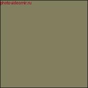 Superior Leaf 10 2.72x11м. Фон бумажный (97)