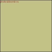 Superior Tropical Green 13 2,72x11м. Фон бумажный (12)