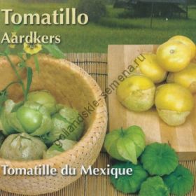 Физалис  сорт "ТОМАТИЛЛО"  (Tomatillo)  0.75 гр.