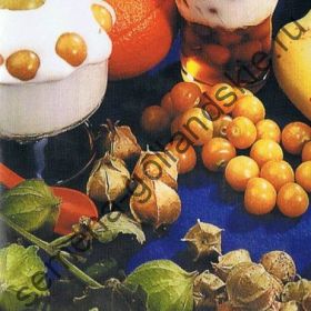 Томатилло сорт "АНАНАСКЕРС" (Tomatillo Ananaskers) 10 семян