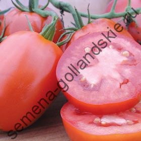 Томат сорт "ХАЙНЦ 2653" (Heinz 2653) 10 семян