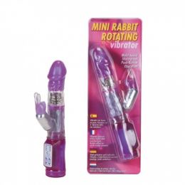 Вибратор MINI RABBIT ROTATION VIBRATOR 2K875CLV-INBCDSC