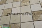 PINO EMPERADOR 50х50