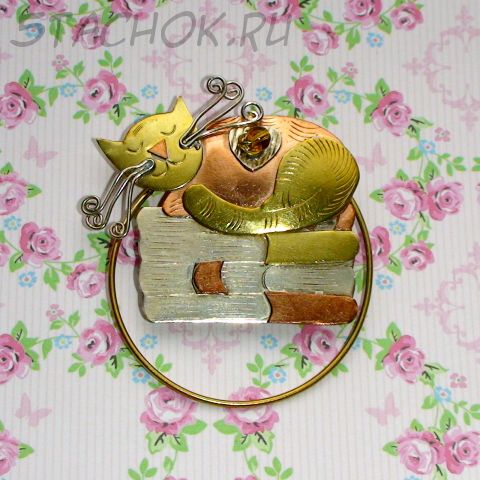 Брошь-держатель для очков "Спящий кот на книгах" под чеканку (США)