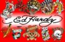 ED HARDY