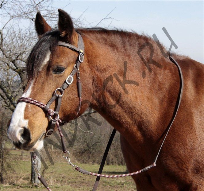 Беcтрензельная уздечка Barefoot Syringa с поводом