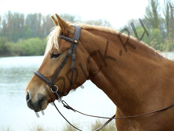 Беcтрензельная уздечка Barefoot Walnut