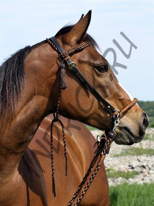 Сайд-пулл + трензельная уздечка Barefoot Amber