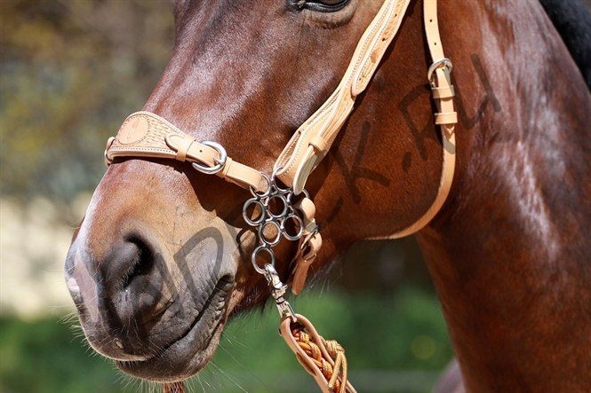 Хакамора Ромашка (Цветок)