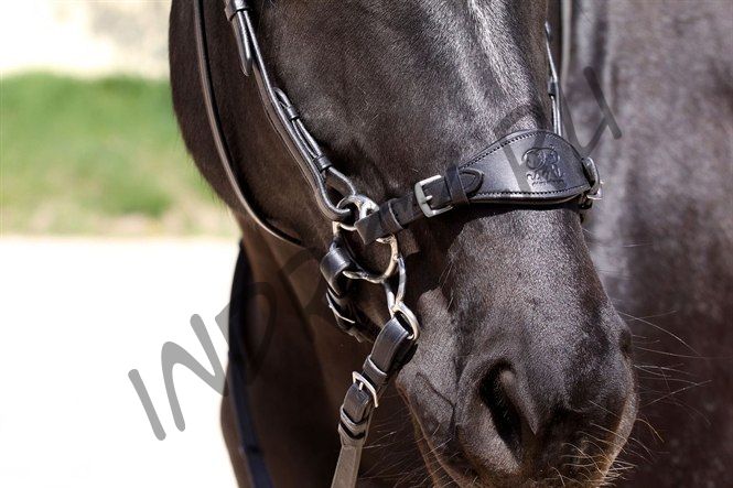 Переносье ремень для хакаморы