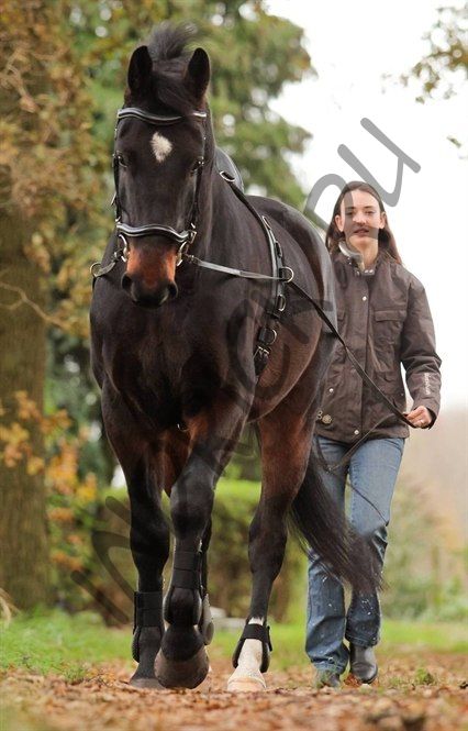 Вожжи для работы на земле Super-Grip