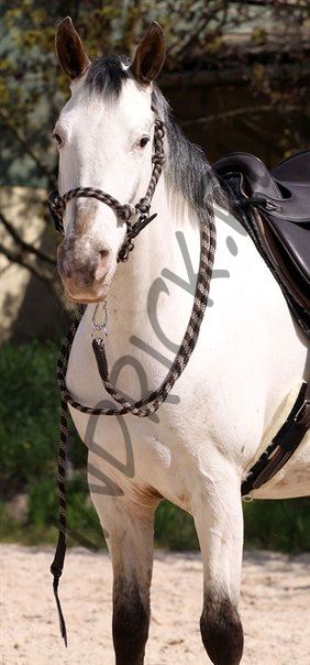 NH-чомбур Juniper