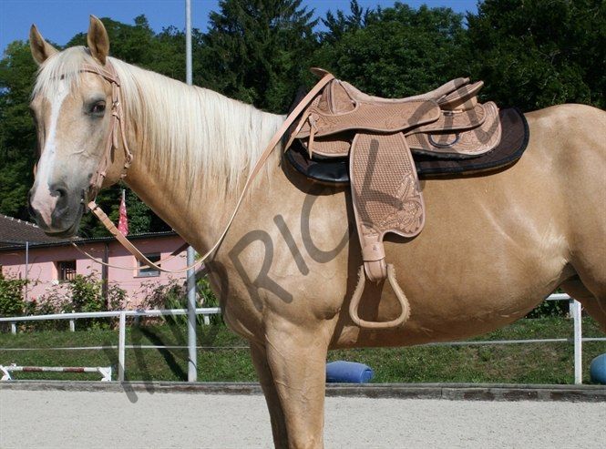 Безленчиковое седло Barefoot Virginia Rose