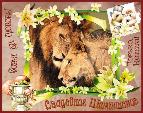 Наклейка на бутылку "Свадебное шампанское" (львы)