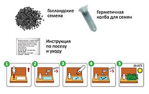 Набор для выращивания "Мини-ферма"