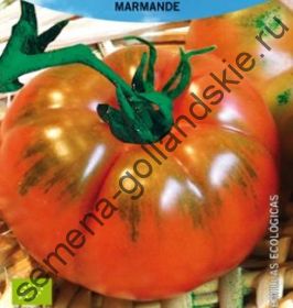 Томат "МАРМАНДЕ БИО" (Marmande BIO) 10 семян