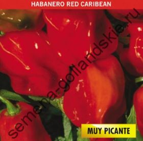 Перец острый "ХАБАНЕРО КРАСНЫЙ" (Habanero red) 10 семян