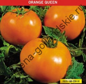 Томат "АПЕЛЬСИНОВАЯ КОРОЛЕВА" (Orange Queen) 10 семян