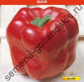 Перец сладкий "МАОР" (Maor) 10 семян