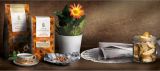 Arvid Nordquist Classic Gran Dia кофе молотый