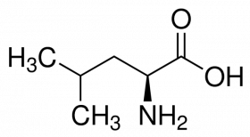 L-Лейцин, 10 гр