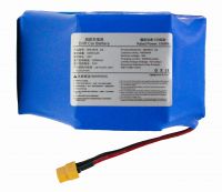 Батарея для гироскутера (ячейки Sony - Япония, 36V-4400mAh)