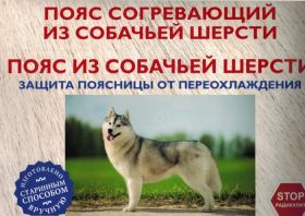 ПОЯС ИЗ СОБАЧЬЕЙ ШЕРСТИ В КОРОБКЕ размер 52-56