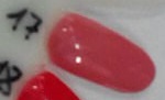 Shellac Bluesky 17