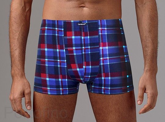 мужские трусы-шорты Gentlemen арт.GS7725 в клетку купить в магазине в Москве за 495 рублей