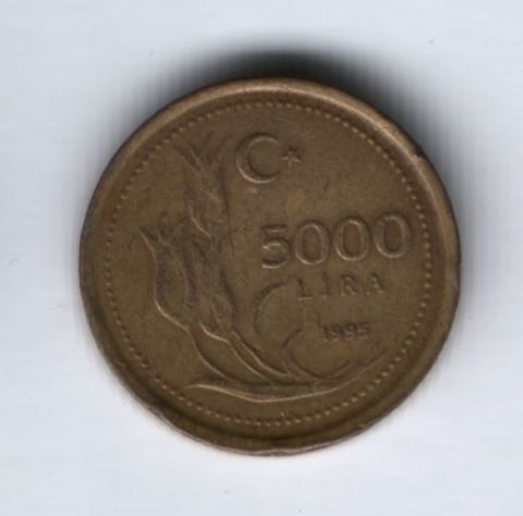 5000 лир 1995 г. Турция