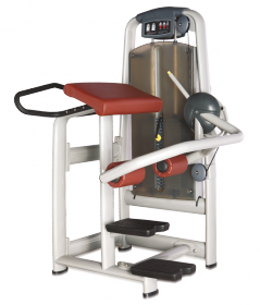 Ягодичные мышцы Bronze Gym A9-016A