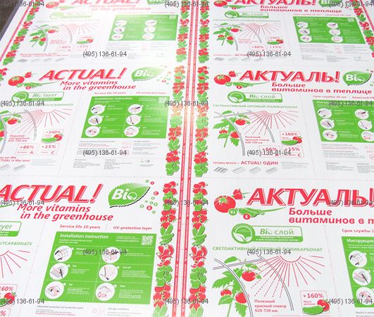 Сотовый поликарбонат для теплиц Актуаль! BIO 6 мм 2100 х 6000 прозрачный