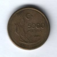 5000 лир 1995 г. Турция