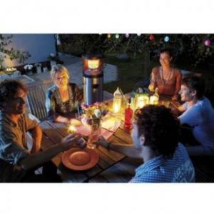 Инфракрасный газовый обогреватель Enders  POLO 2.0