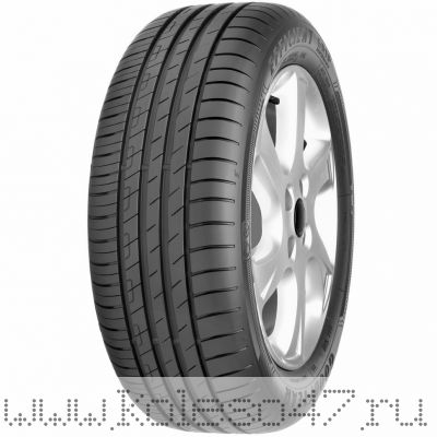 215/60 R16 Goodyear EfficientGrip Performance 99W XL