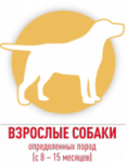 Взрослые собаки