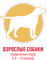 Взрослые собаки