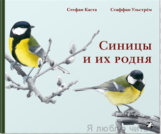 Синицы и их родня.