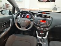 Прокат Сид 2018 Коричневый