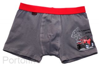 Трусы для мальчиков Cornette Legend