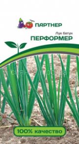 Лук батун Перформер