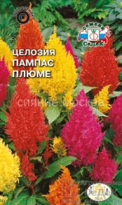 ЦЕЛОЗИЯ ПАМПАС ПЛЮМЕ