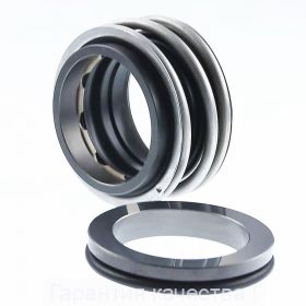 Торцевое уплотнение MG1/40-z G6 AQ1PGG