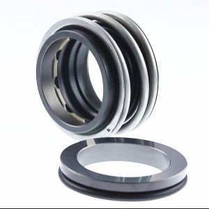 Торцевое уплотнение MG1/85 G6 AQ1VGG