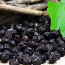 Вишня сушеная с косточкой