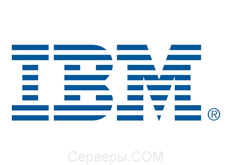 Жесткий диск IBM SAS 2.5 дюйма 49Y6173